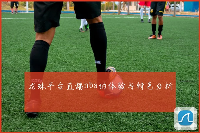 龙珠平台直播nba的体验与特色分析