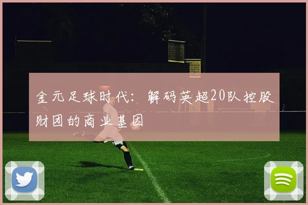 金元足球时代：解码英超20队控股财团的商业基因