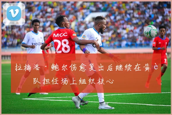 拉梅洛·鲍尔伤愈复出后继续在黄蜂队担任场上组织核心